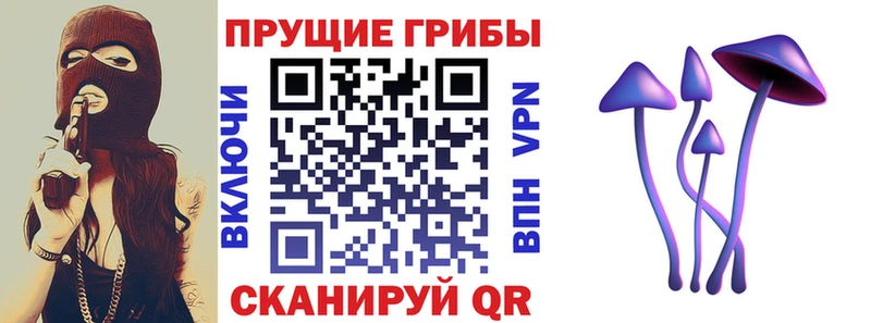 Псилоцибиновые грибы GOLDEN TEACHER  Лобня 