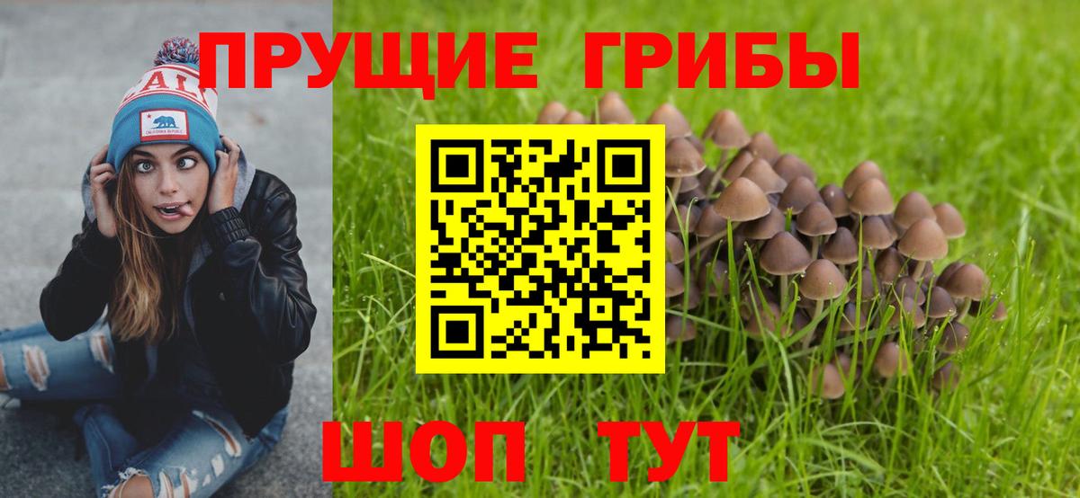 Лобня  Псилоцибиновые грибы мухоморы  Вход с VPN 