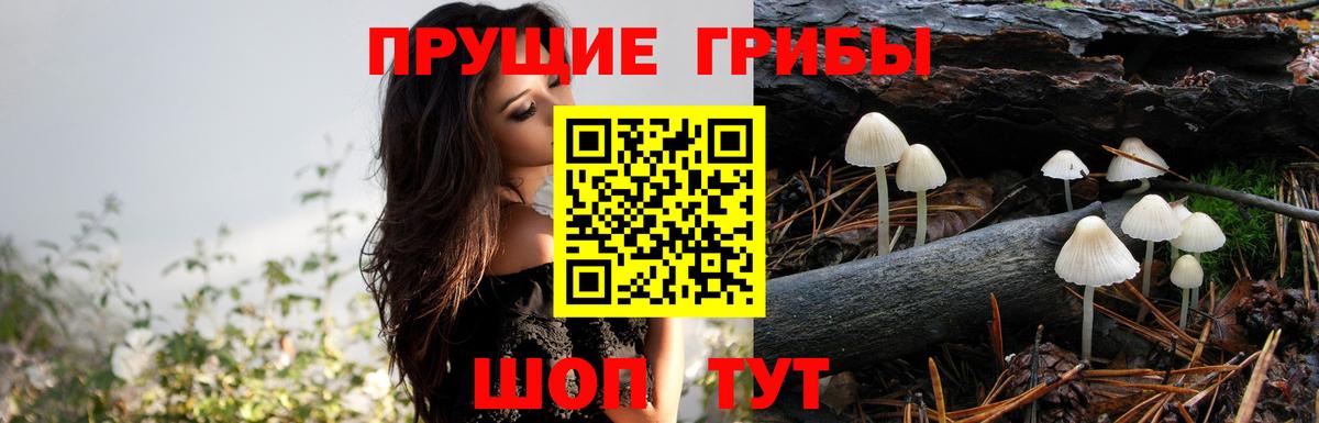 Галлюциногенные грибы мухоморы Лобня